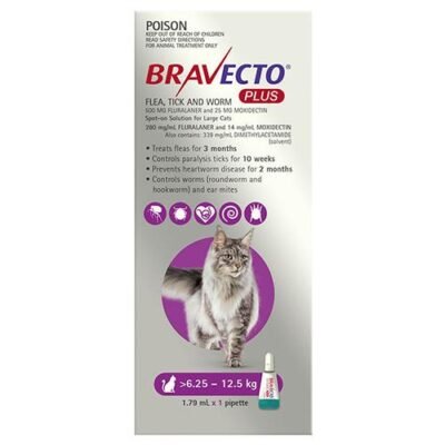 Bravecto Plus For Large Cats 6.25 -  12.5 Kg Purple 3 Pack