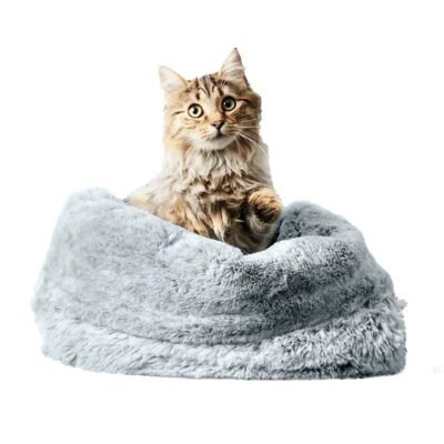 Snooza The Cat Bed Silver Fox 1 Piece - Os