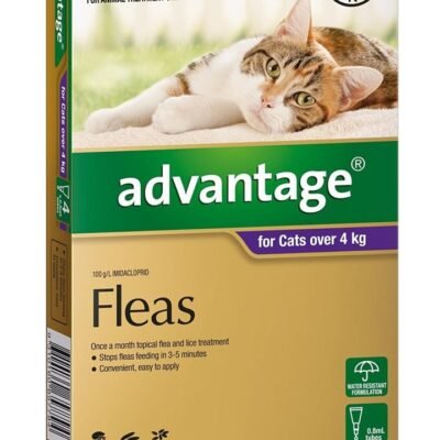 Advantage Spot-On Flea Control Treatment for Cats over 4kg - 4-Pack