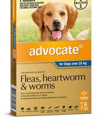Advocate for Dogs - 6 Pack - Treats Fleas & Worms for Dogs over 25kg - 6pk