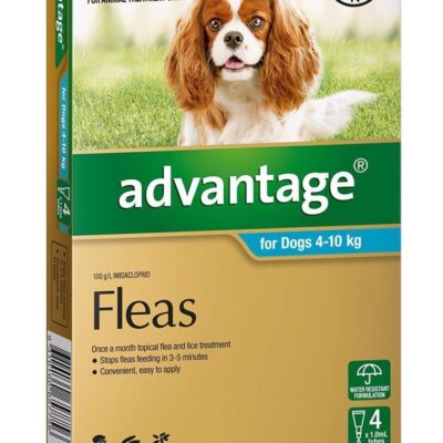 Pet Flea & Tick Control