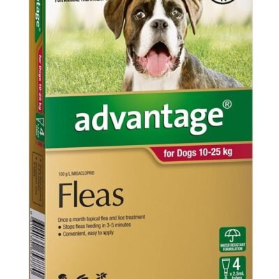 Advantage Spot-On Flea Control Treatment for Dogs 10-25kg - 4 pack