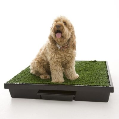 Pet Waste Disposal Systems & Tools