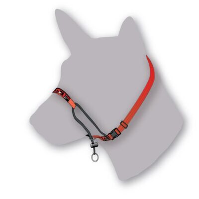 Black Dog Training Head Halter with Chin Clip - Large - Red