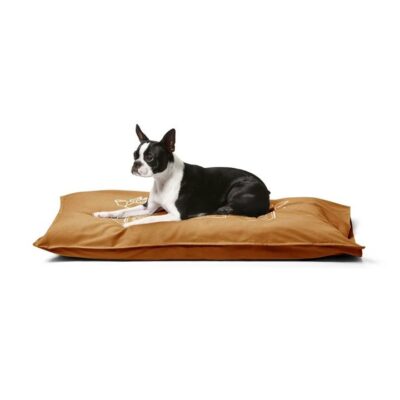 Snooza Summer Cotton Canvas Futon Caramel