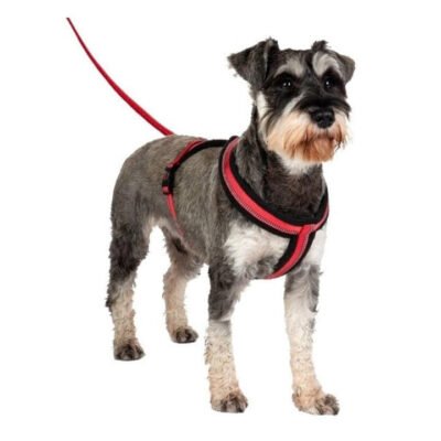 Halti - Comfy Harness - Extra Small - Red 1 Pack