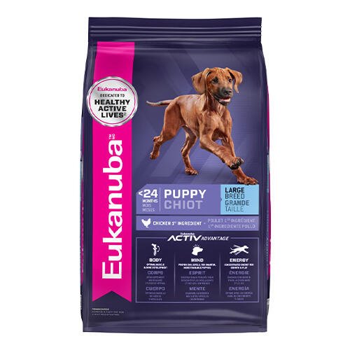 Eukanuba Large Breed Puppy Dry Dog Food  15 Kg