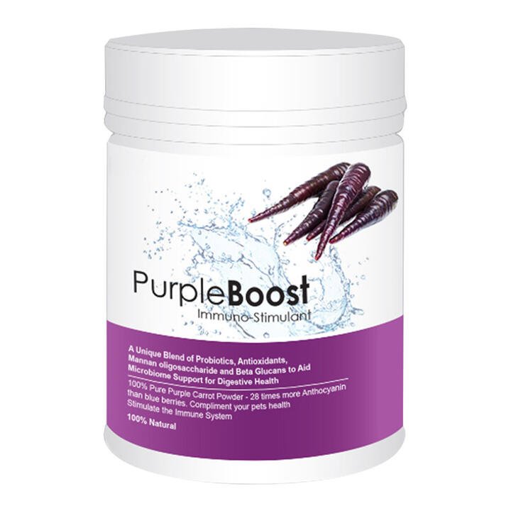 Lifewise Purple Boost Health Supplement For Dogs  180 Gm