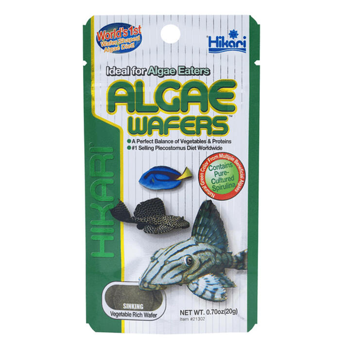 Hikari Tropical Algae Wafers Fish Food  20 Gm