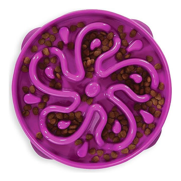 Outward Hound Fun Feeder Slo Bowl For Dogs - Purple 1 X Regular