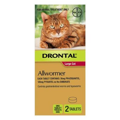 Drontal Wormers For Large Cats 6kg 48 Tablet