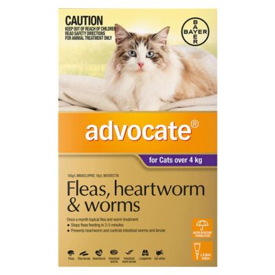Advocate For Cats Over 4kg (Purple) 1 Dose