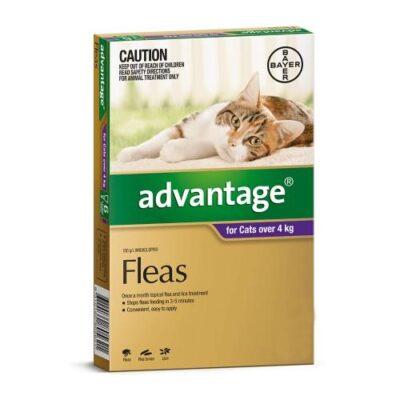 Advantage Large Over 4kg Purple 4 pack