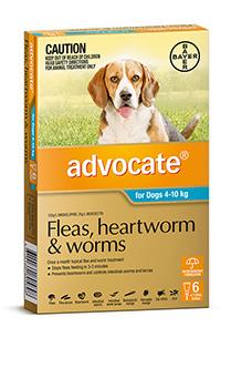 Advocate Medium 4-10kg Teal 6 pack