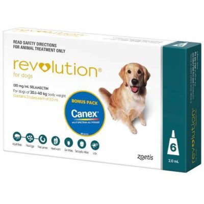 Revolution Teal Large 20-40kg 6 pack