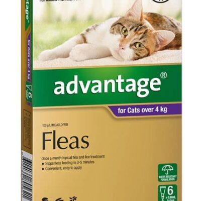 Advantage For Large Cats (Over 4kg) - 6 Pack