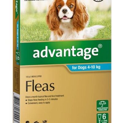 Advantage For Medium Dogs (4-10kg)- 6 Pack