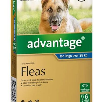 Advantage For Extra Large Dogs (Over 25kg) - 6 Pack