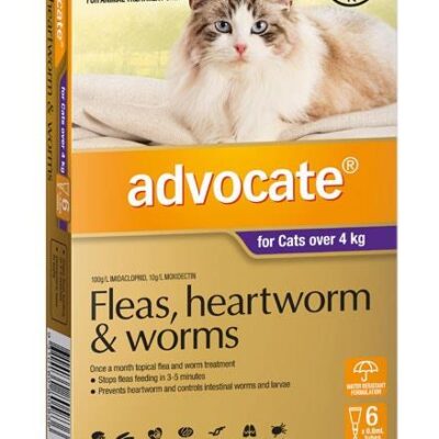 Advocate For Large Cats (Over 4kg) - 6 Pack