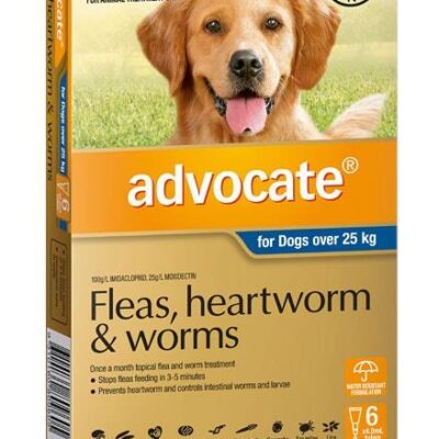 Advocate For Extra Large Dogs (Over 25kg) - 6 Pack