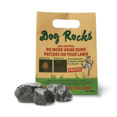 Dog Rocks