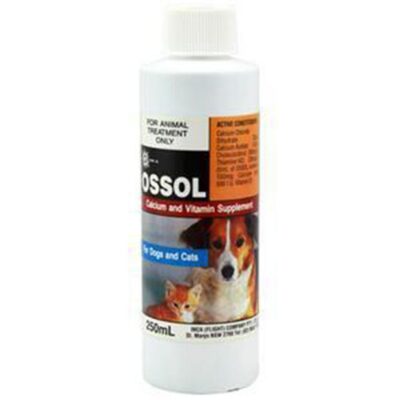 Inca Ossol Calcium And Vitamin Supplement  1 Litre