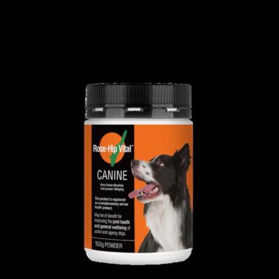 Rose Hip Canine