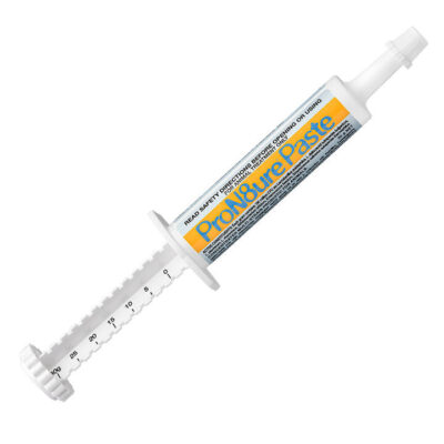 Pron8ure Paste For Dogs  100 Gm