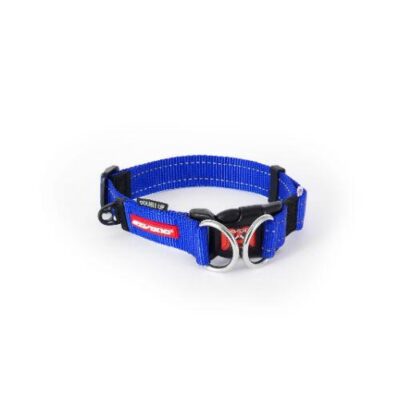 EzyDog Double Up Collar Extra Large Blue
