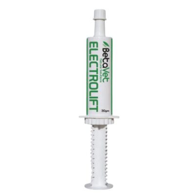 Betavet Electrolift Paste Horse Supplement