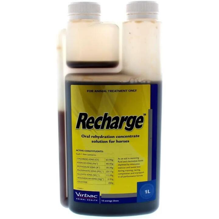 Virbac Recharge Oral Rehydration Concentrate Solution for Horses 1L
