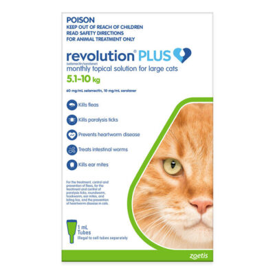 Revolution Plus For Large Cats 5 - 10kg (Green) 6 Pack