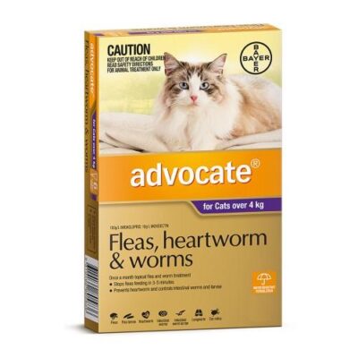 Advocate Large Over 4kg Purple 1 Pack