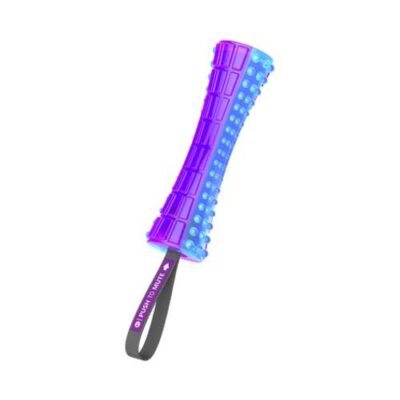 GiGwi Push To Mute Johnny Stick Purple/Blue