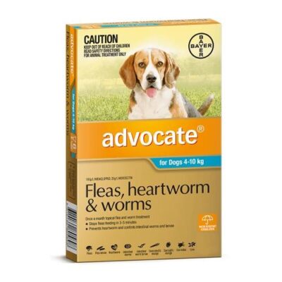 Advocate Medium 4-10kg Teal 1 pack